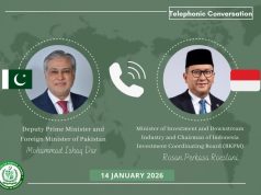 Pakistan, Indonesia explore expanded investment cooperation as Ishaq Dar holds talks with Danantara Chief