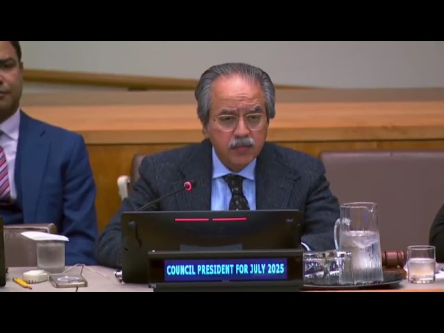 Pakistan reaffirms commitment to multilateralism at UN Security Council review