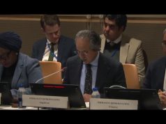 Pakistan urges consistent application of UN Charter to rebuild global peace architecture