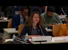 Pakistan, Global Peace Chain host UN dialogue on Charter’s role in conflict prevention at 80