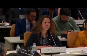 Pakistan, Global Peace Chain host UN dialogue on Charter’s role in conflict prevention at 80