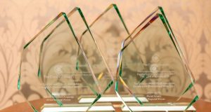 Activist Bushra Mahnoor shortlisted for 2026 Commonwealth Youth Awards among top global changemakers