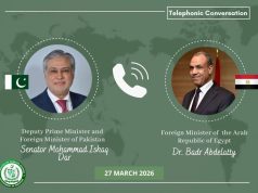 Pakistan, Egypt FMs discuss regional developments, stress dialogue, restraint