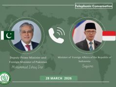 Pakistan, Indonesia FMs hold telephonic talks on regional, bilateral issues