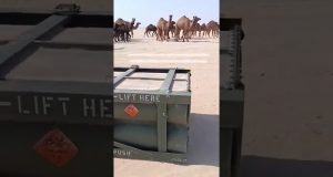 ATACMS missile container found in Kuwait desert, fueling speculation of U.S. HIMARS strikes on Iran