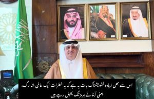 Saudi Envoy warns of global impact of Iran attacks, praises Pakistan’s peace efforts