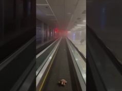 Dubai residents flee amid regional conflict, property market slumps as transactions plunge