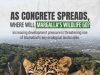 WWF-Pakistan raises alarm over development near Margalla Hills, calls for immediate environmental safeguards
