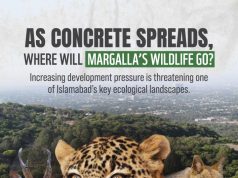 WWF-Pakistan raises alarm over development near Margalla Hills, calls for immediate environmental safeguards