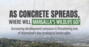 WWF-Pakistan raises alarm over development near Margalla Hills, calls for immediate environmental safeguards