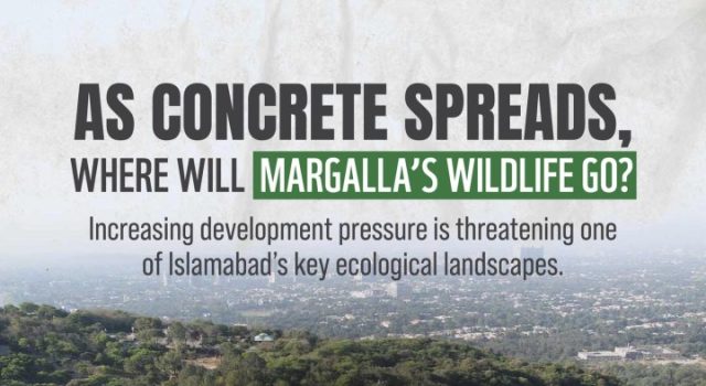WWF-Pakistan raises alarm over development near Margalla Hills, calls for immediate environmental safeguards