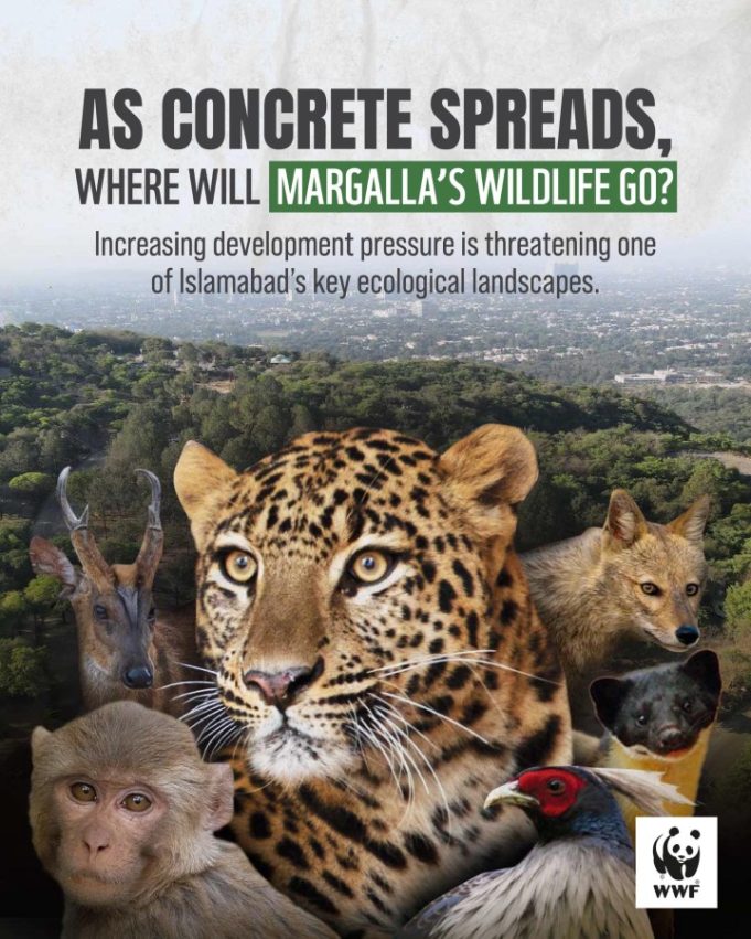 WWF-Pakistan raises alarm over development near Margalla Hills, calls for immediate environmental safeguards
