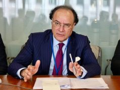 Aurangzeb discusses debt management, capital market reforms with World Bank vice president