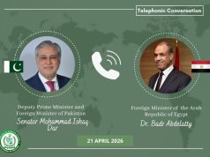 Pakistan, Egypt stress dialogue as Ishaq Dar, Abdelatty discuss regional situation