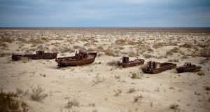 New ecosystem emerges on dried seabed of Aral Sea, Uzbek study finds