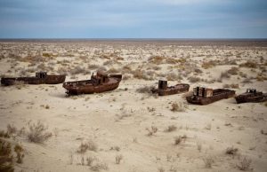 New ecosystem emerges on dried seabed of Aral Sea, Uzbek study finds