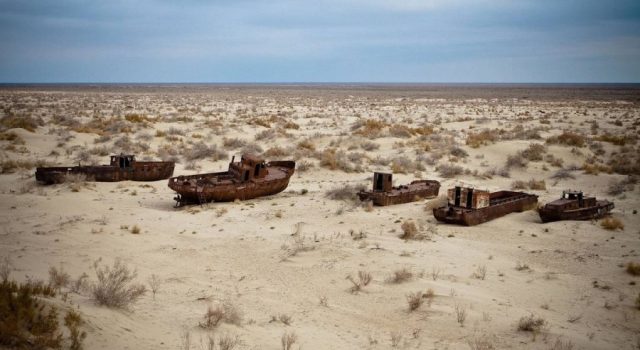 New ecosystem emerges on dried seabed of Aral Sea, Uzbek study finds