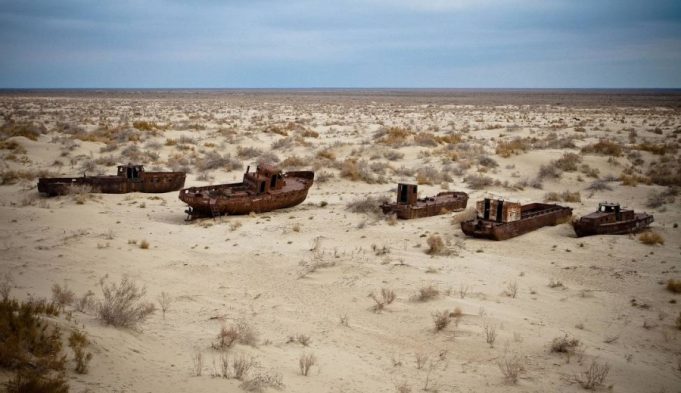New ecosystem emerges on dried seabed of Aral Sea, Uzbek study finds