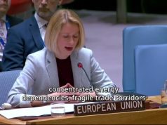 EU’s Kaja Kallas urges stronger multilateralism, backs Pakistan’s mediation at UN Security Council