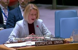 EU’s Kaja Kallas urges stronger multilateralism, backs Pakistan’s mediation at UN Security Council