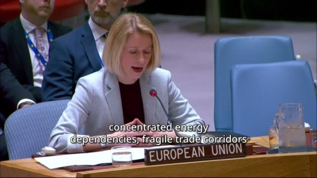 EU’s Kaja Kallas urges stronger multilateralism, backs Pakistan’s mediation at UN Security Council