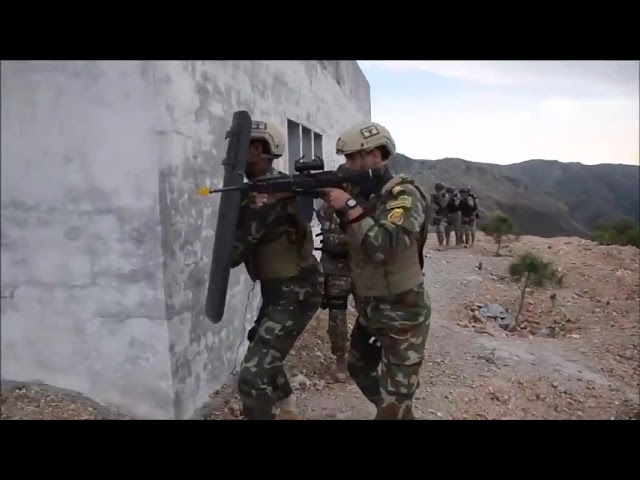 Pakistan, Egypt conclude ‘Thunder-II’ joint exercise at Cherat