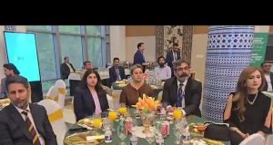 Aurangzeb urges diaspora to invest via RDA, lauds remittance role in economic stability