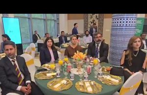 Aurangzeb urges diaspora to invest via RDA, lauds remittance role in economic stability