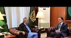 Pakistan, Türkiye reaffirm strategic partnership, stress peace efforts in Middle East