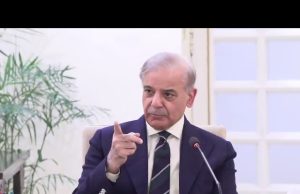 PM Shehbaz meets UNICEF, global delegation, reaffirms commitment to polio eradication, Lead-Free Future for children