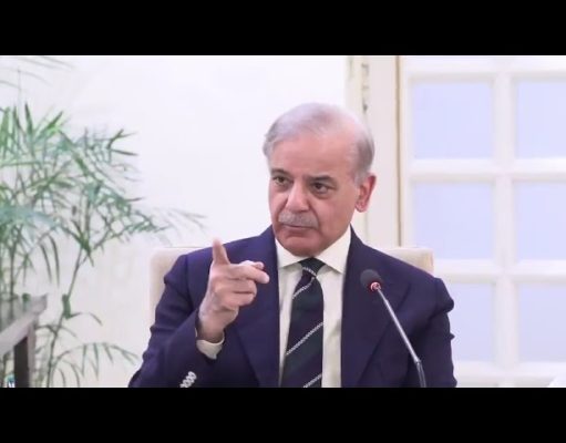 PM Shehbaz meets UNICEF, global delegation, reaffirms commitment to polio eradication, Lead-Free Future for children