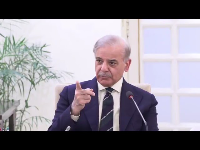 PM Shehbaz meets UNICEF, global delegation, reaffirms commitment to polio eradication, Lead-Free Future for children