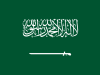 Saudi Arabia wins UN Public Service Award 2026 for AI, national data initiatives