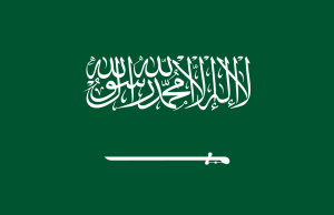 Saudi Arabia wins UN Public Service Award 2026 for AI, national data initiatives