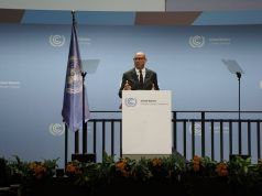 Simon Stiell calls for accelerated climate implementation, warns against fossil fuel dependence