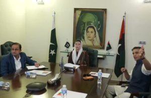 First Lady Bibi Asifa Bhutto Zardari backs proposal for JPMC Comprehensive Stroke Center