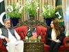 U.S. Chargé d’Affaires, KP leaders discuss critical minerals, energy and security cooperation