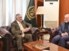 Iran envoy briefs Dar on bilateral cooperation, regional situation