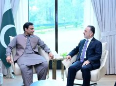 Hamza Shehbaz, Turkish envoy discuss strengthening Pakistan-Türkiye economic ties