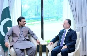 Hamza Shehbaz, Turkish envoy discuss strengthening Pakistan-Türkiye economic ties