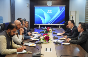 Pakistan, Türkiye discuss DISCO privatisation, expanded energy cooperation
