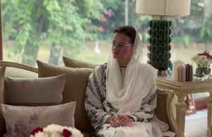 A glimpse of the meeting between Saudi Ambassador Dr. Rajeh Tami Albugamy and Punjab Chief Minister Maryam Nawaz Sharif.